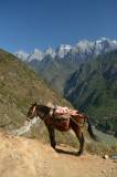 Yunnan - Tiger Leaping Gorge